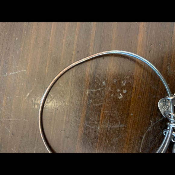 3/$10 Alex and Ani Disneyland Silver Bangle - Picture 3 of 3
